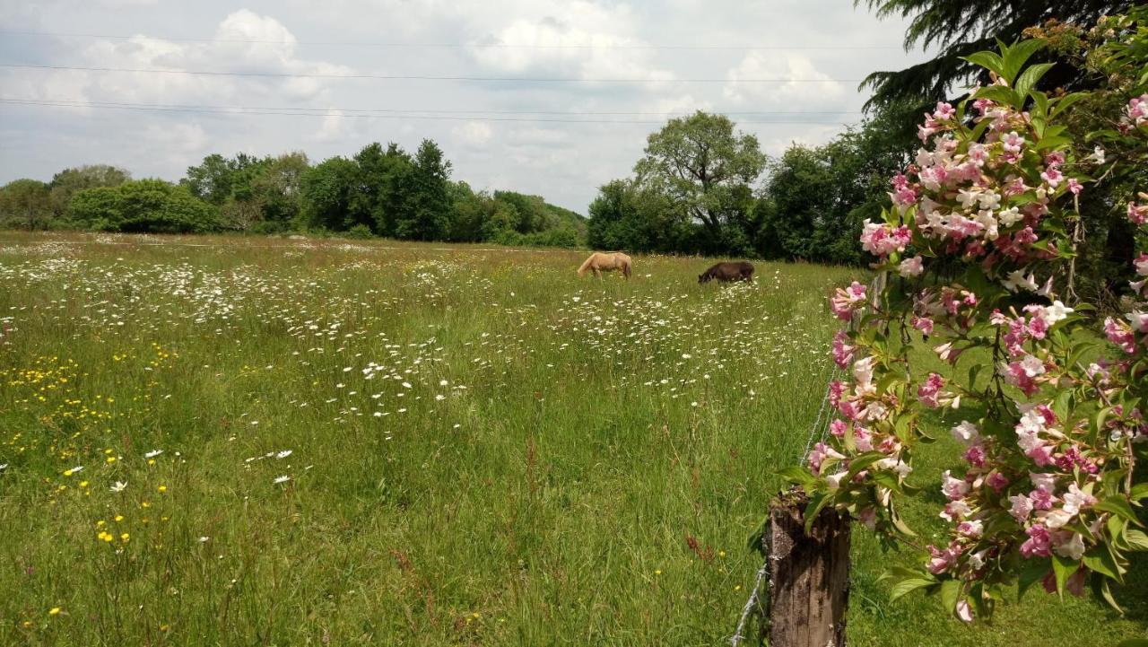 Le Moulin De La Retardiere Orvault Zewnętrze zdjęcie