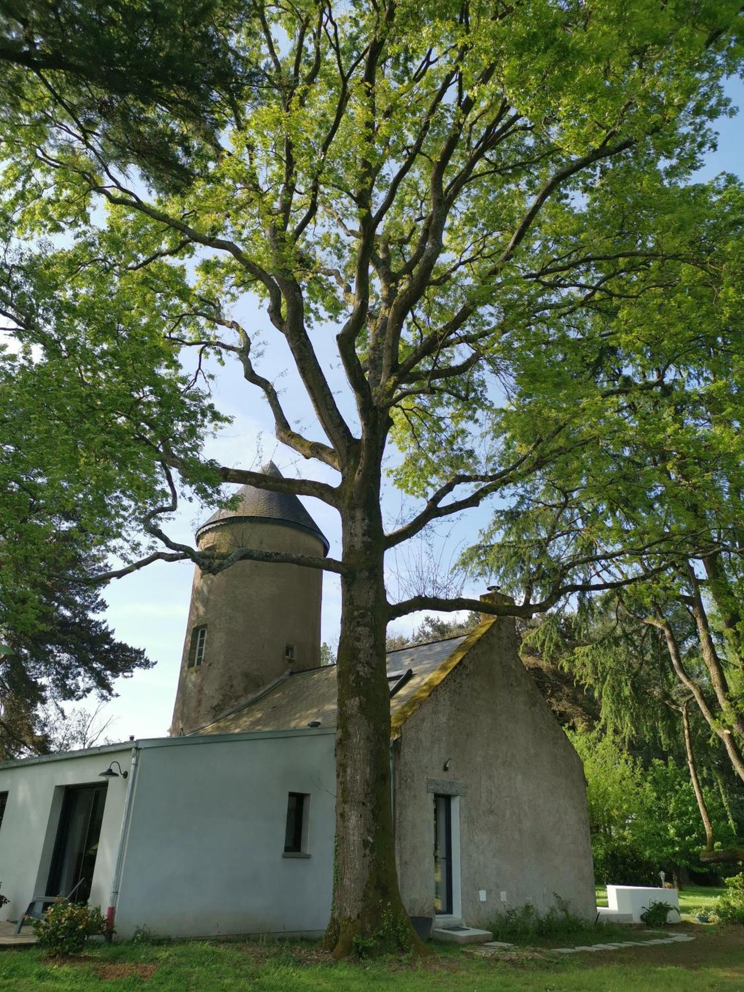 Le Moulin De La Retardiere Orvault Zewnętrze zdjęcie